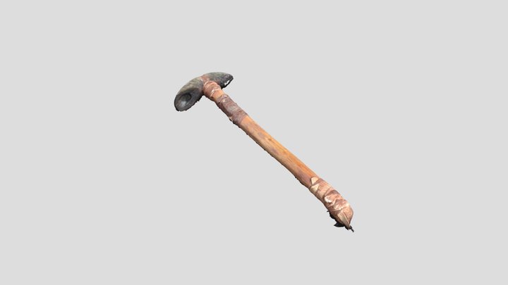 Horn club photogrammetry top 3D Model