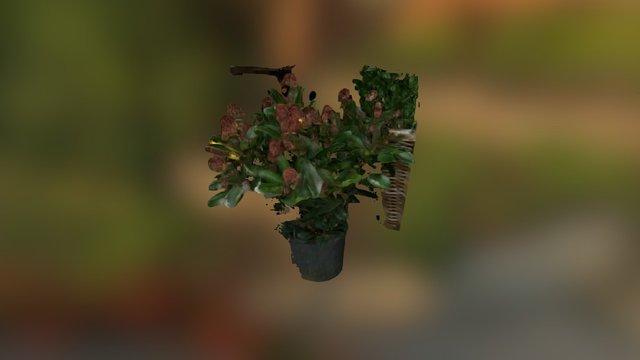 Flower 3D Model