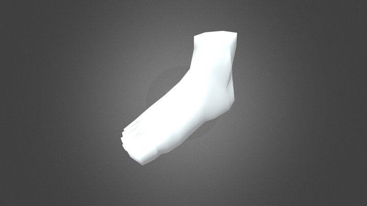 Low poly foot. 3D Model