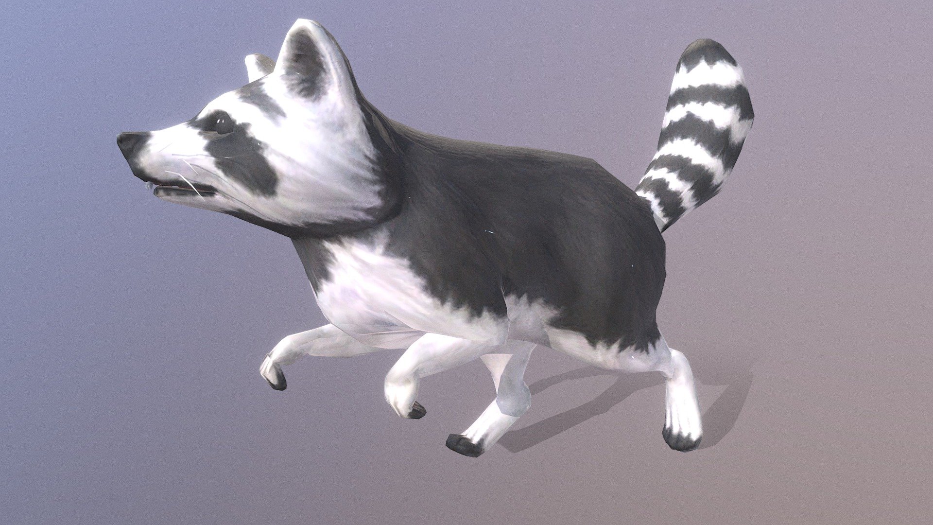 LITTLE RACOON JUNGLE RUN Pbr Fbx - 3D model by ETHICAL ANIMATOR ...
