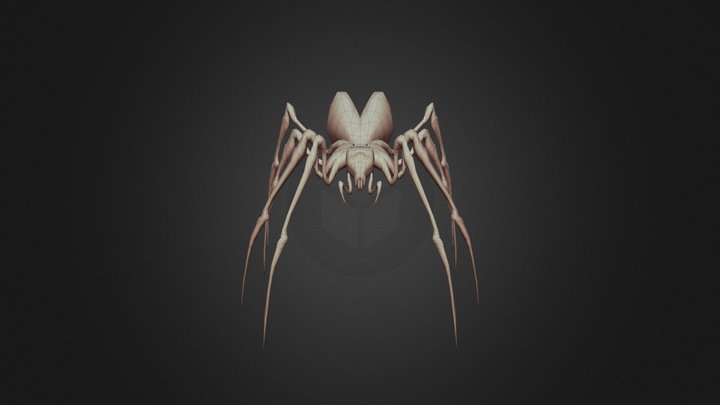 Spider(low) 3D Model