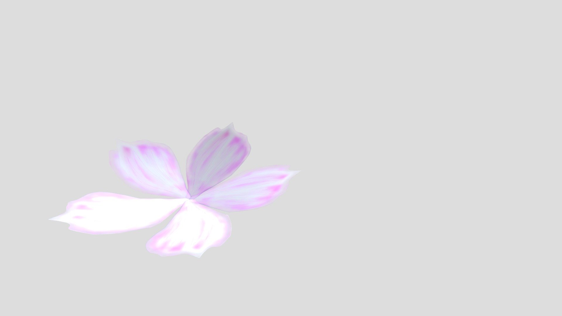 Cherry Blossom