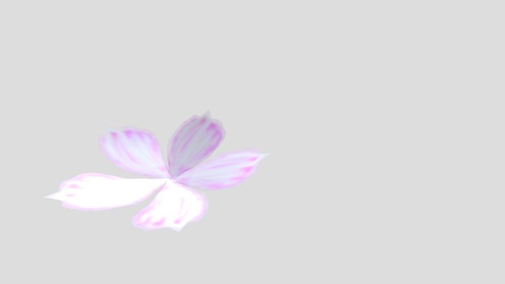 Cherry Blossom 3D Model