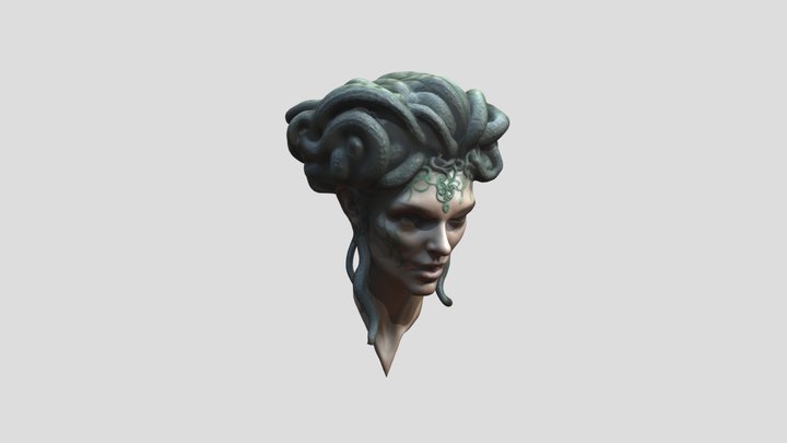 MEDUSA head model 02 3D Model