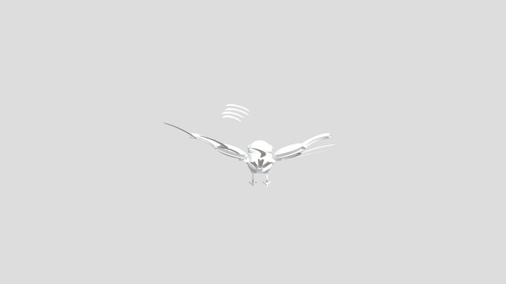 5-29 Bird 1 3D Model