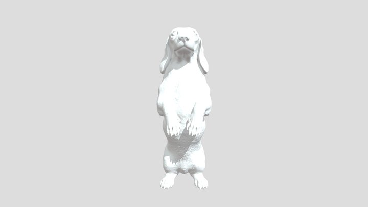 Dachshund Standing 3D Model