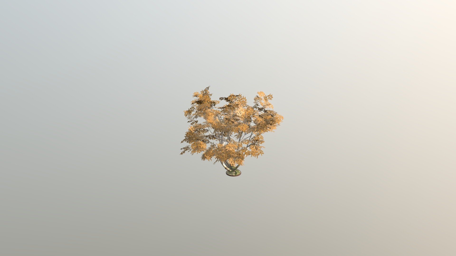 Runes_Forest_Tree_Example - 3D model by stormbornstudio [3da9f6d ...