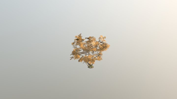 Runes_Forest_Tree_Example 3D Model