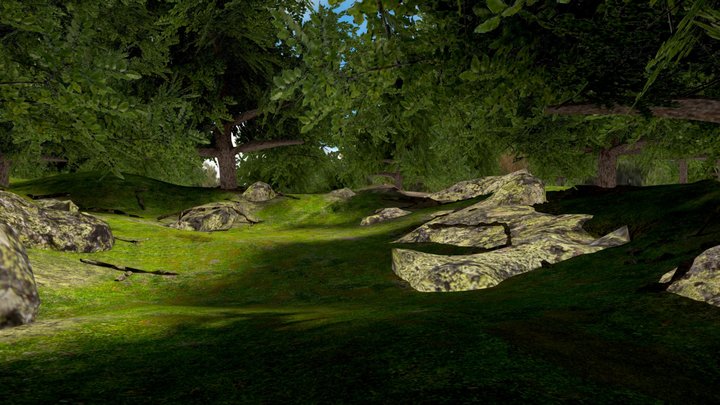 Mystery Forest 3D Model