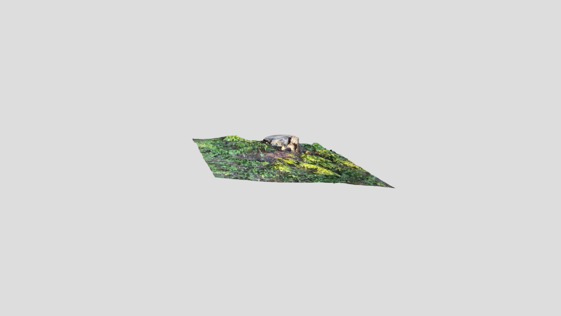 Pieta stump 01