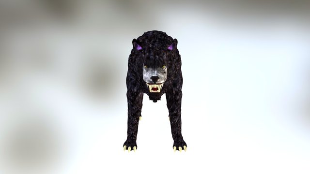 Wolf LR 3D Model