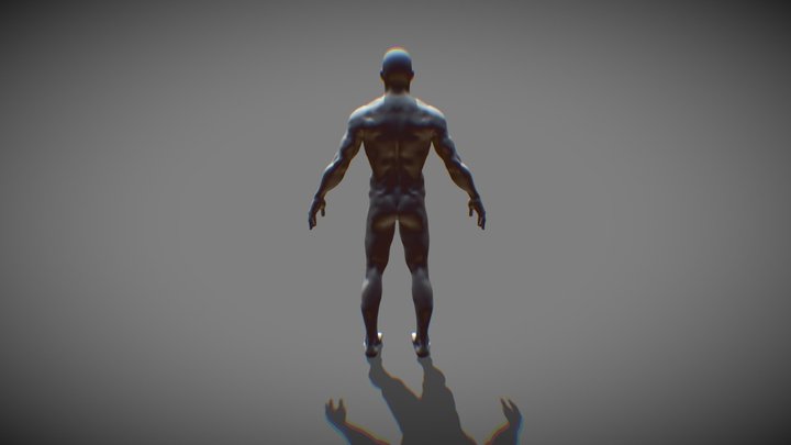 HumanWithActionBody 3D Model