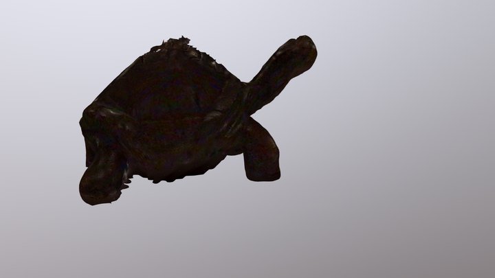 New Qlone 3D Model