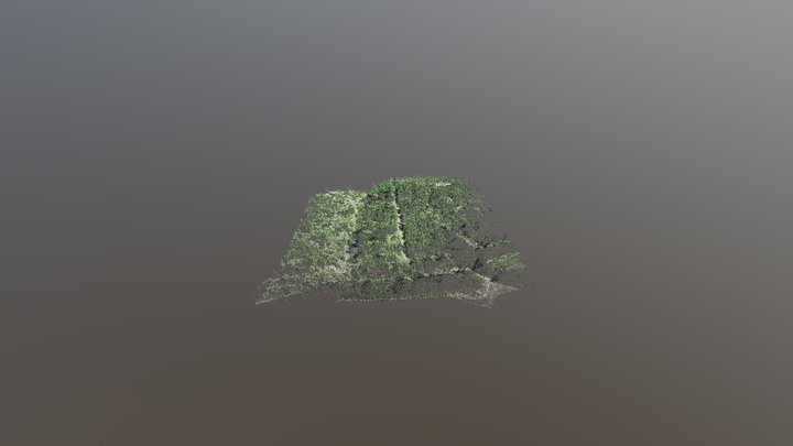 Elk, Washington Fields 3D Model