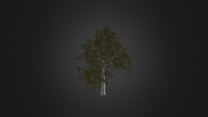 High Poly Tree 3D Model