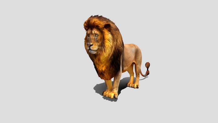 male lion – Modelo 3D gratuito STL