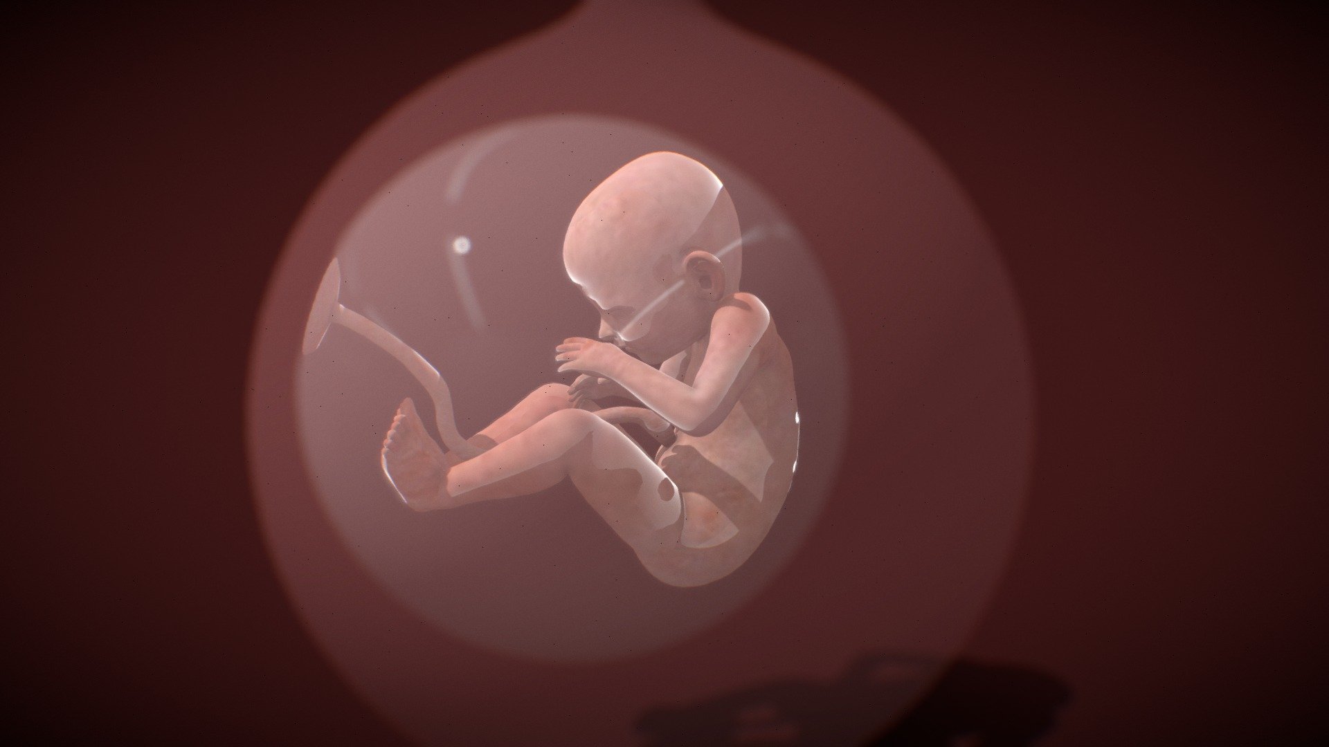 imagem de bebe com 4 meses na barriga da mae