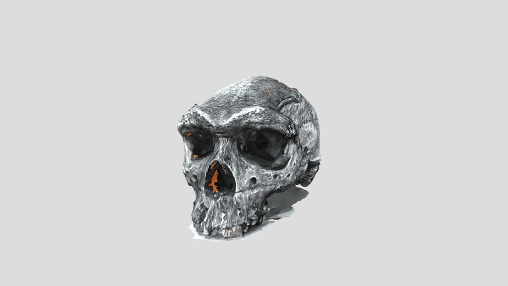 UNC_Scan_35