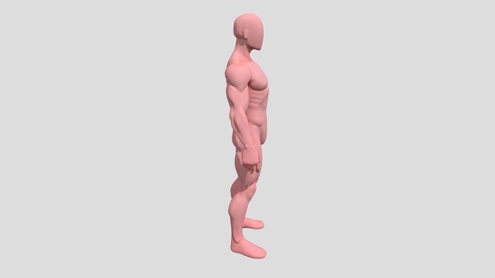 Player 3D Model