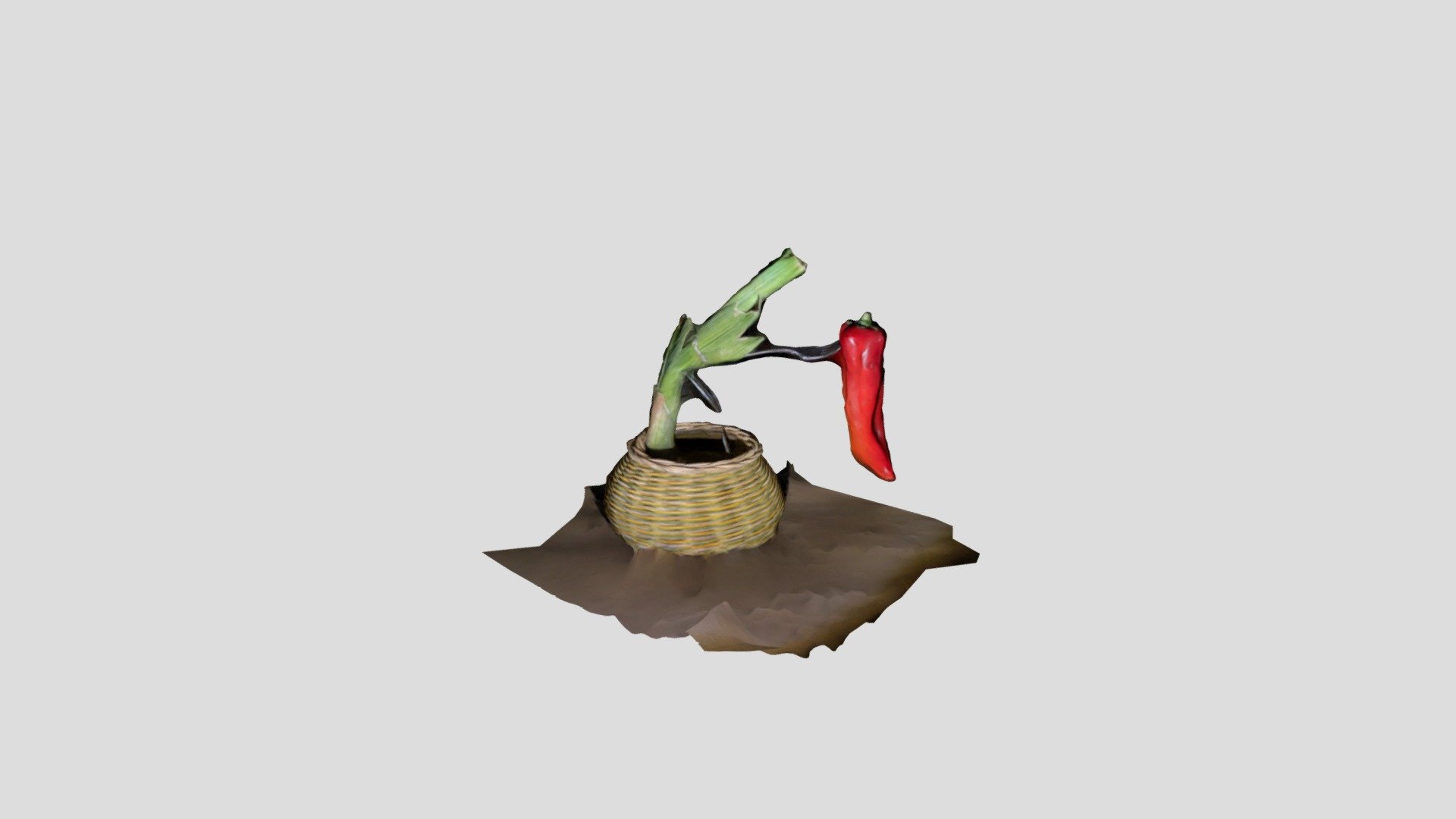 Polycam capture