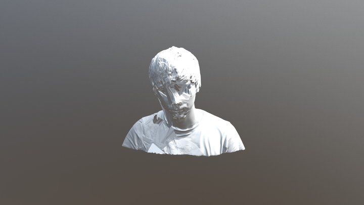 Man Bust Face Replace Glitched01 3D Model