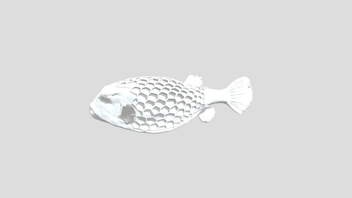 Voronoi (Boxfish1_Multipipe Variable) 3D Model