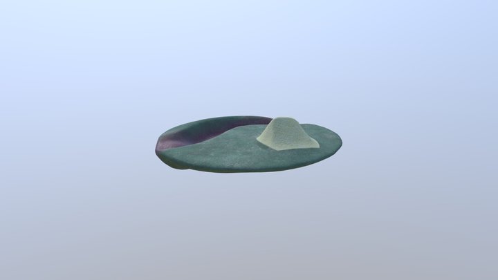 Environment Plane Textured 3D Model