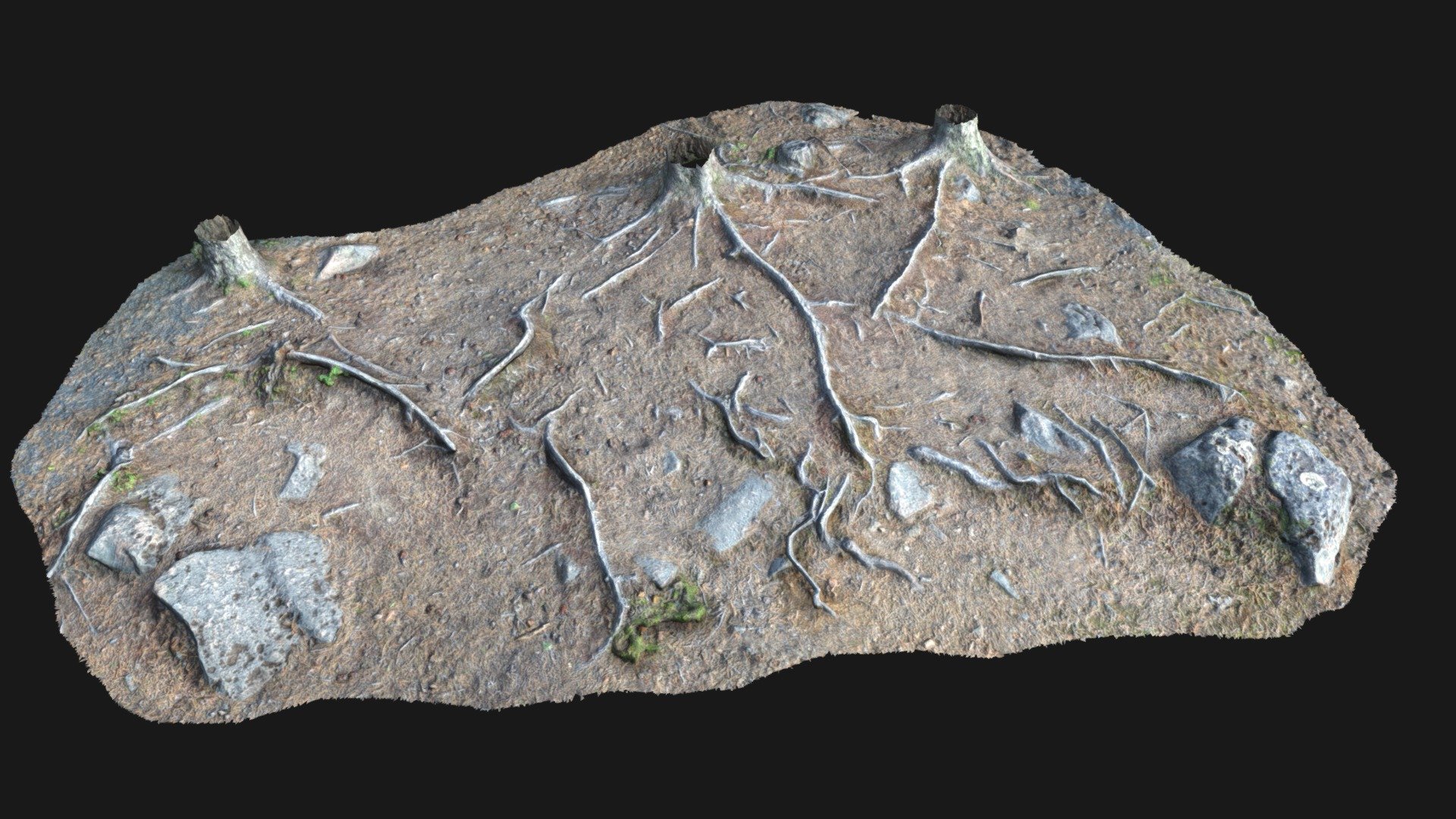 Roots Ground - Buy Royalty Free 3D model by northlogic (@northlogicvfx ...