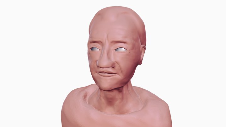 Qyburn Portrait 3D Model