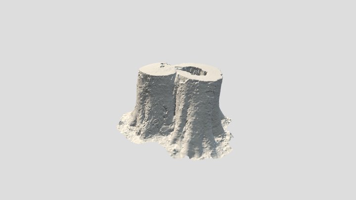 Tree Stomp 3D Model