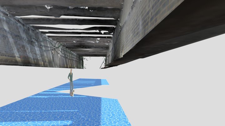 Palmer Lane Cultvert 3D Model