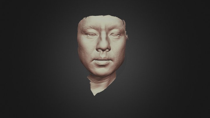 Human – Free 3D Model STL