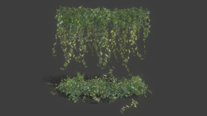 Ivy Scatter - Hanging and Ground 3D Model