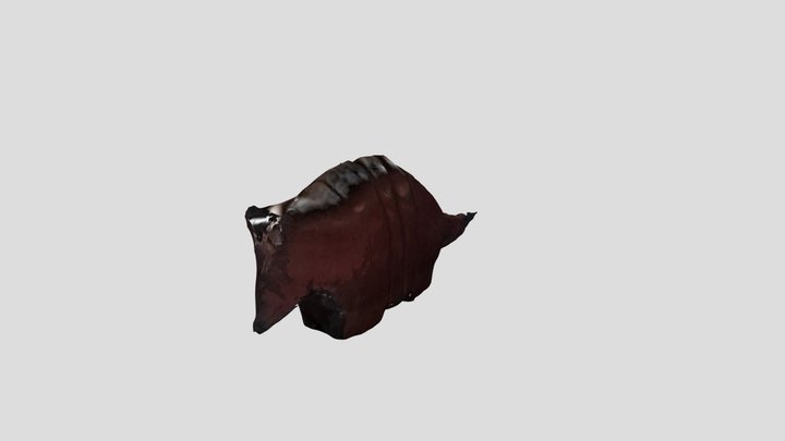 New Qlone 3D Model