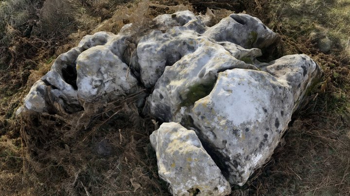Birkrigg Stone 1 – Modèle 3D gratuit STL