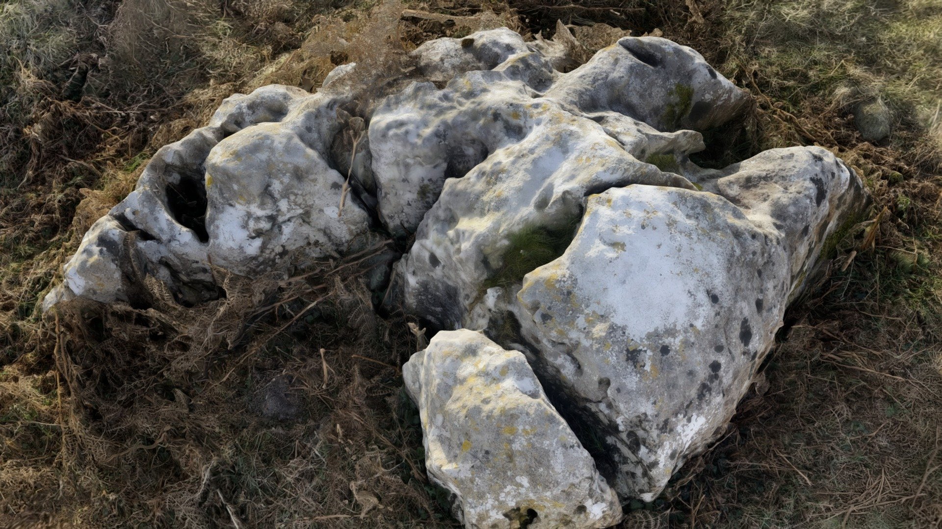 Birkrigg Stone 1 - Download Free 3D model by megalith archive ...