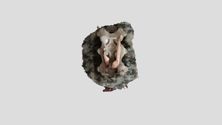 Modelo cuerpo humano prueba 2 - muñeca 3D Model