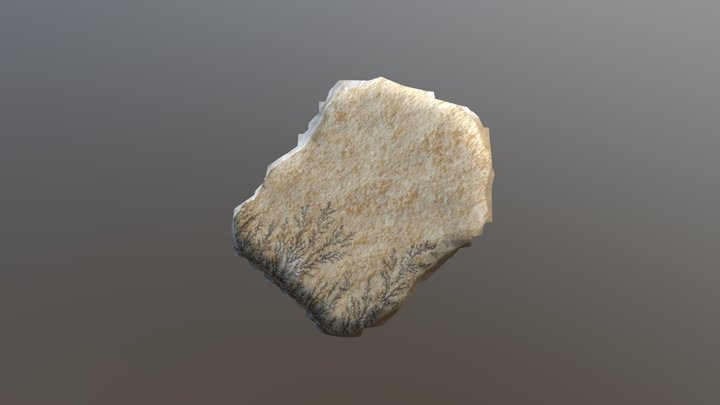 Manganese Oxide Dentrites 3D Model