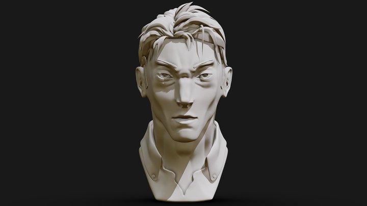 Human Head Sculpt 3D Model