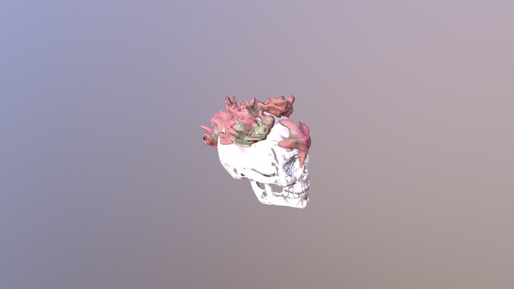 Underwater Overgrown Skull 3D Model