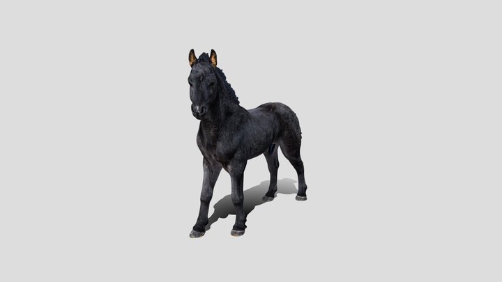 Horse_3d_model – Modèle 3D gratuit STL
