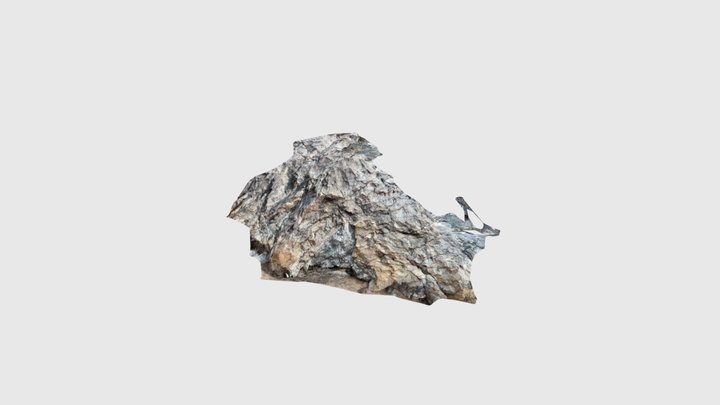 Striations in gneiss? 3D Model