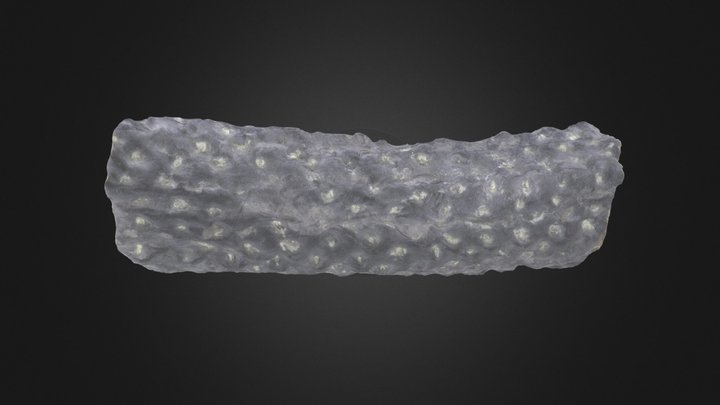 Lycopod: Stigmaria sp. (PRI 50355) – Modello 3D gratuito STL
