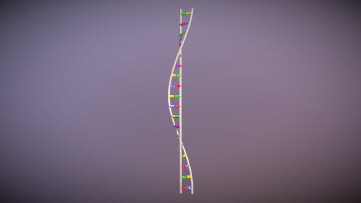 DNA 3D model 3D Model