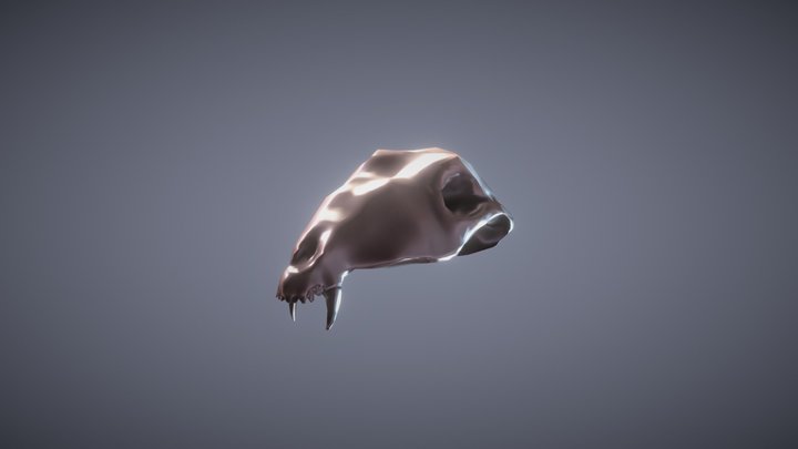 DogSkull 3D Model
