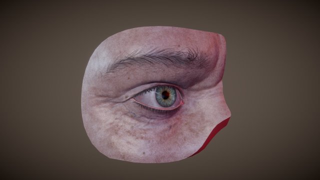 Eye - practice 3D Model