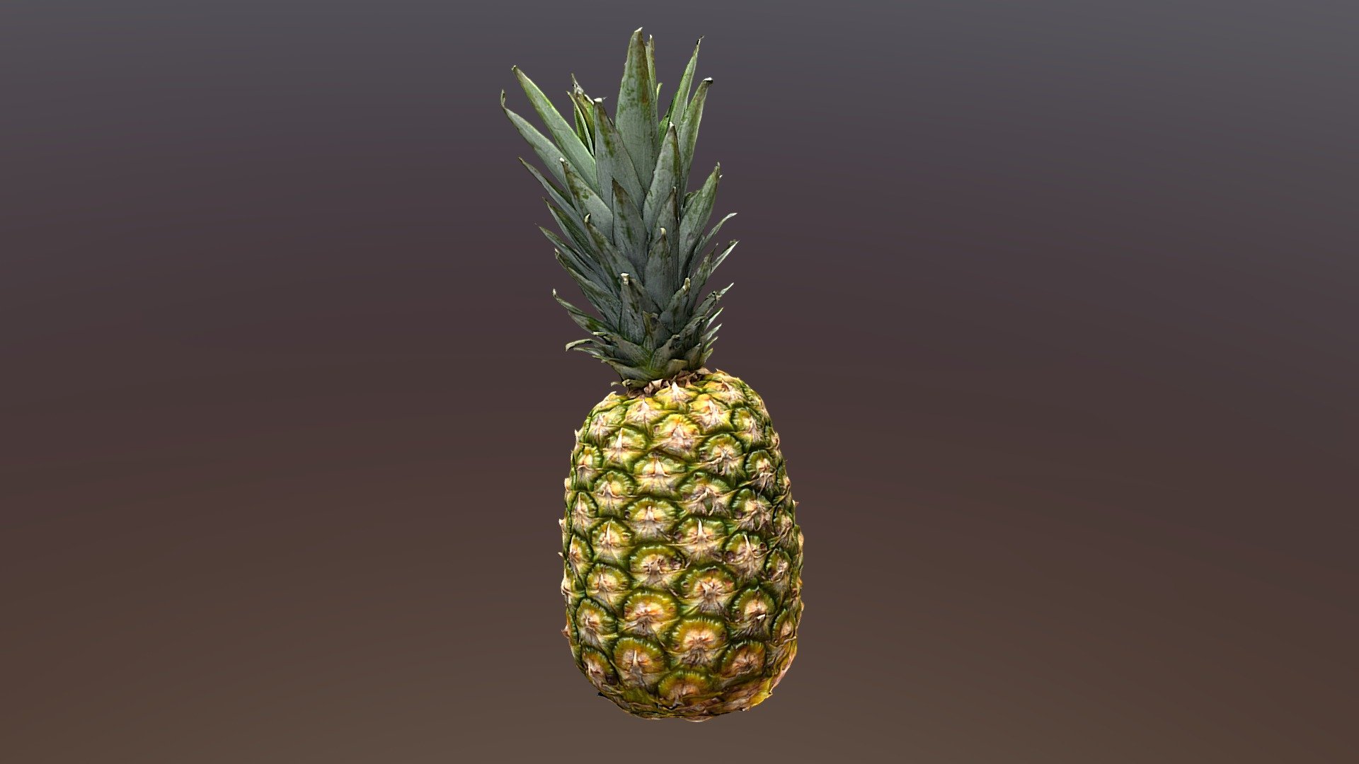Pineapple Download Free 3D model by thesidekick