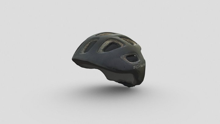 Schwinn's Bicycle Helmet 3D Model