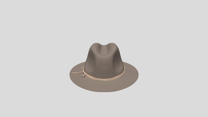 Fedora 3D Model