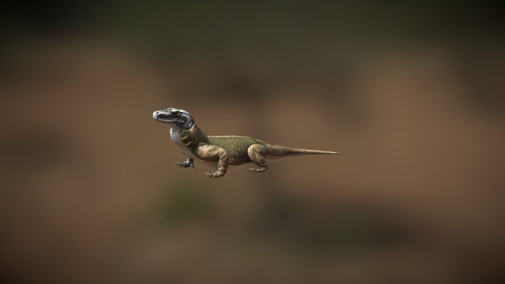 Komodo Dragon 3D Model